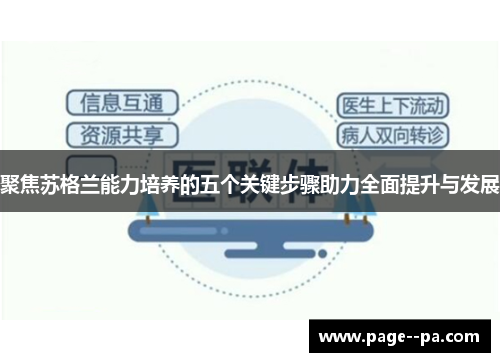 聚焦苏格兰能力培养的五个关键步骤助力全面提升与发展
